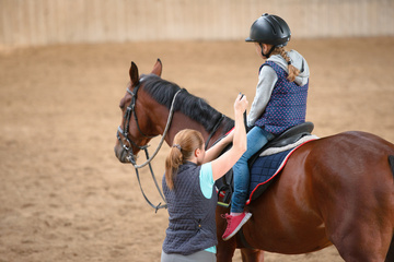 Cours d'équitation sur poney et cheval à Valenciennes 